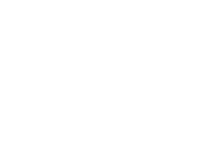 Icon 79